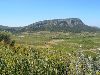 terrain à Vingrau (66)