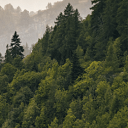 Minimalist Mountains with Trees and Fog