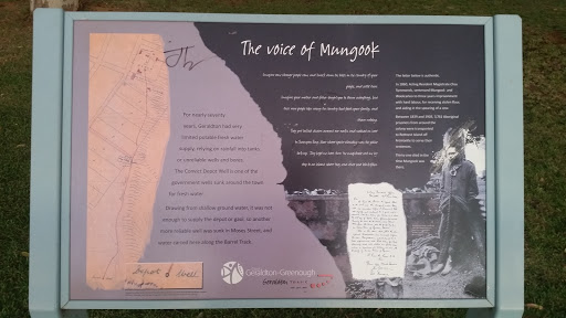 The Voice Of Mungook