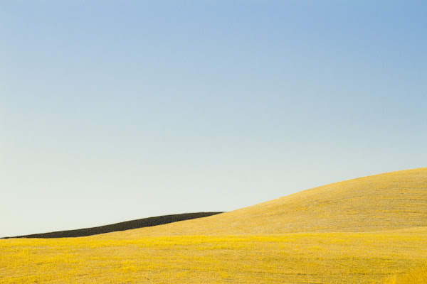 Hills di Andrea Fanelli