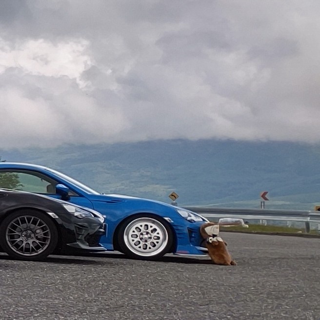86の長野県限定86＆BRZプチオフ会・ビーナスラインツーリング・伊那丸富士見台駐車場・InSwipeアプリ・長野スゲーに関するカスタム事例の投稿画像7枚目