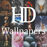 Cover Image of ดาวน์โหลด HD Wallpapers (Backgrounds) 2020 1.0.2 APK