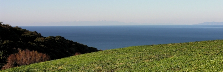 Forme e colori di nobiwan