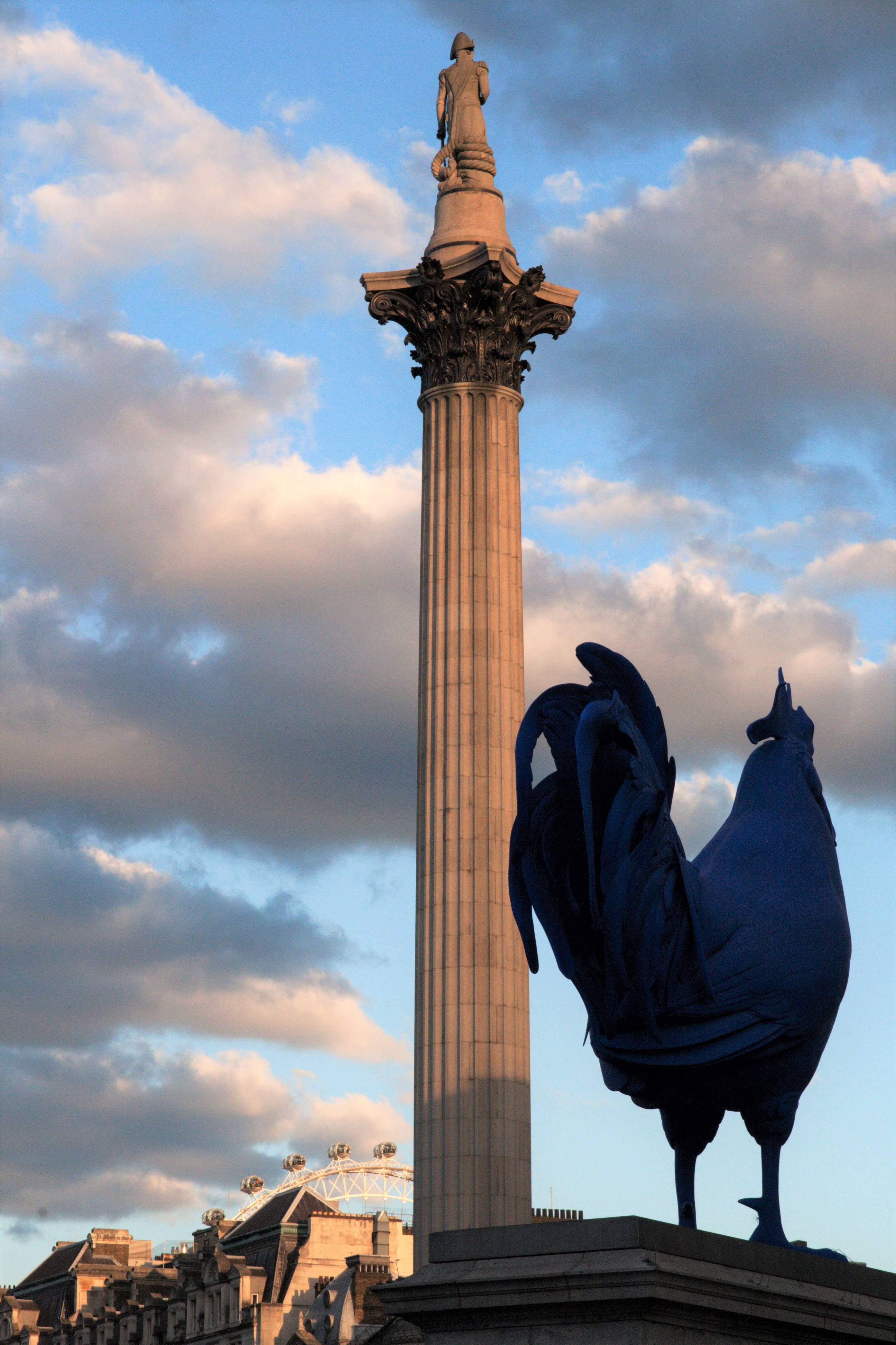 Sveglia a Trafalgar Square di Rosa