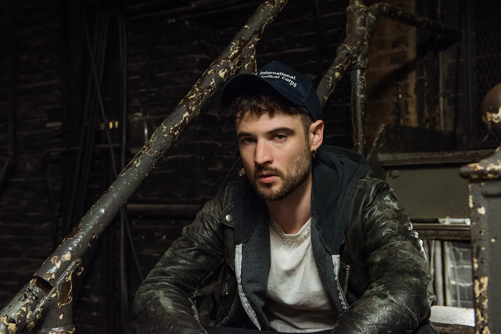 Tom Sturridge Professional Career