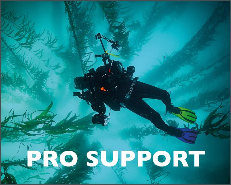 We are marketleading support for underwater photographers - beginners and pros alike.