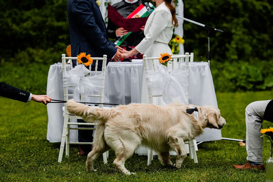 Fotografo di matrimoni Balázs Andráskó (andrsk). Foto del 16 maggio 2023