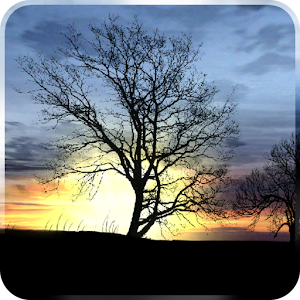 Silhouette Live Wallpaper apk Download