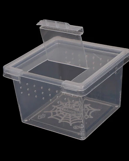 1pcs Plastic Feeding Acrylic Box Insect Spider Habitat Fe... - 2