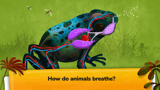 Screenshot The Animals: Animal Kids Games