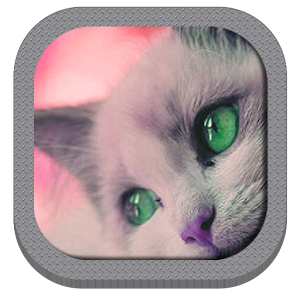 Download Fondos de pantalla de Gatos For PC Windows and Mac