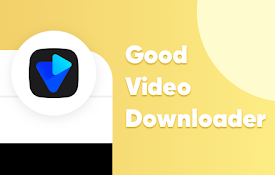 video download safari extension