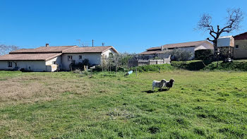 terrain à Euzet (30)