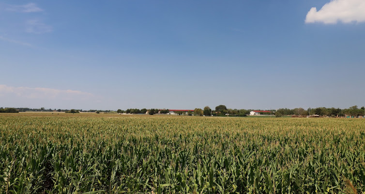 Terra fertile di roberto_rusticali