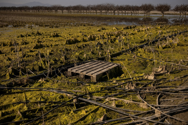 Field affected by the extreme flooding are seen in this file photo. Picture: ALKIS KONSTANTINIDIS/REUTERS