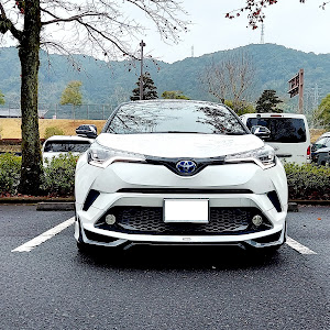 C-HR ZYX10