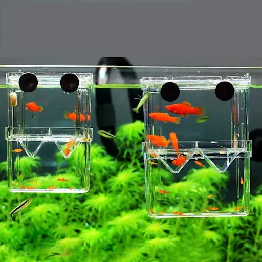 images slider number - 2