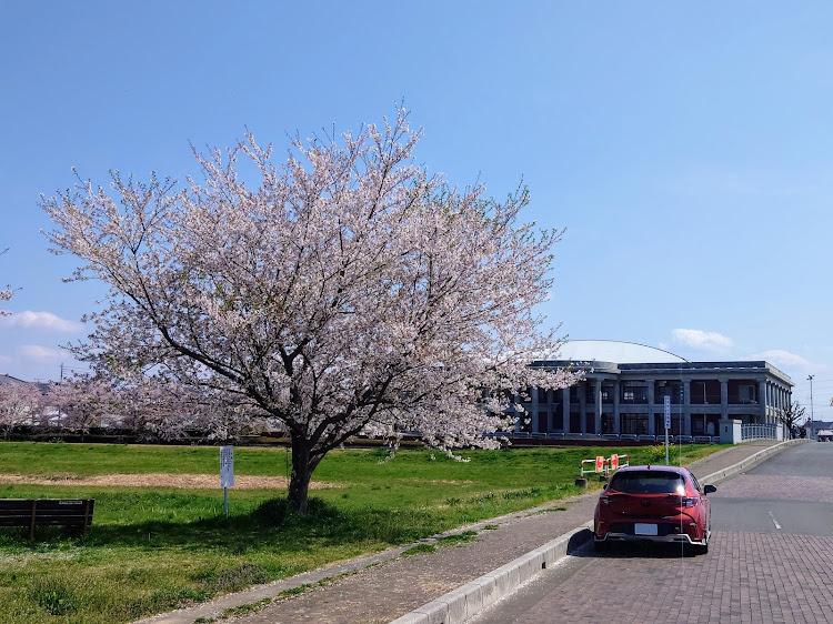 カローラスポーツの渋沢栄一記念館・銅像・桜コラボ・リフレクションに関するカスタム事例の投稿画像1枚目