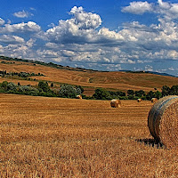 Campagna toscana in giugno di 