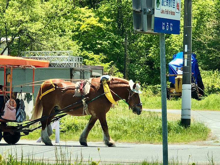 の投稿画像5枚目