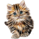 Cat breeds - Photos Download on Windows