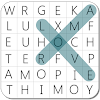 Secret Word Search icon