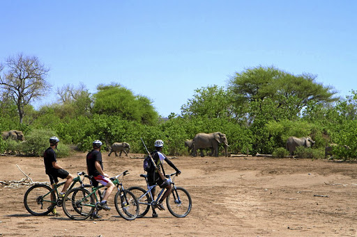 Mashatu Game Reserve in Botswana is a blend of the foreign and familiar.