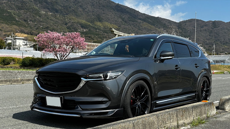 CX-8の4月もよろしくお願い致します🌸・サクラを求めて・サクラと愛車に関するカスタム事例の投稿画像1枚目