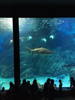 恐怖の水族館