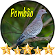 Download Pombão Canto de Pássaros For PC Windows and Mac 1.0