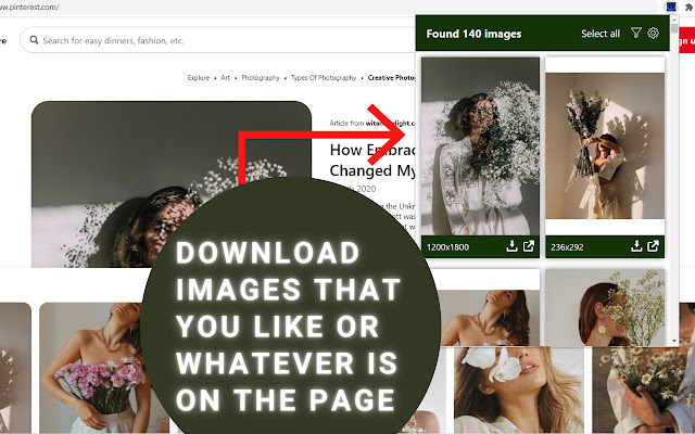 Image Downloader chrome extension