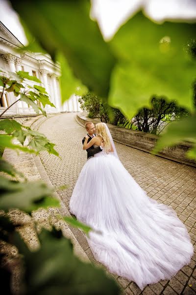 Photographe de mariage Olya Vetrova (0lavetrova). Photo du 14 février 2017