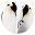 Penguin HD New Tabs Popular Animals Themes