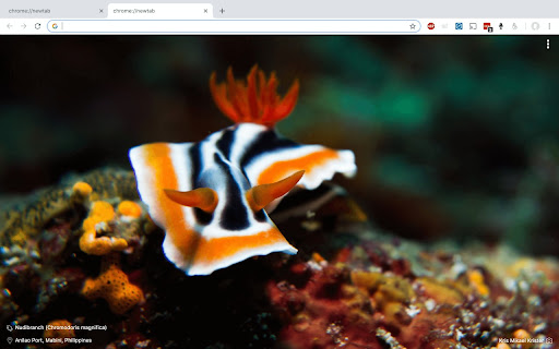 Diving photo tab