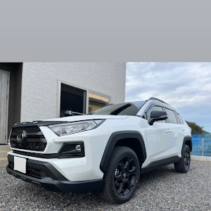 RAV4 MXAA54