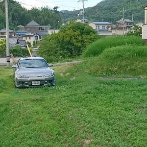 シルビア