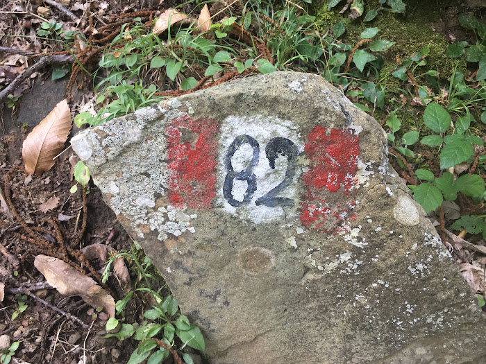 Walk 82, Poggio all'Olmo nature reserve, Castigliocello Bandini, Tuscany