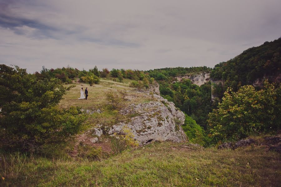 Vestuvių fotografas Olga Smetanina (olgasmetanina). Nuotrauka 2013 rugsėjo 22