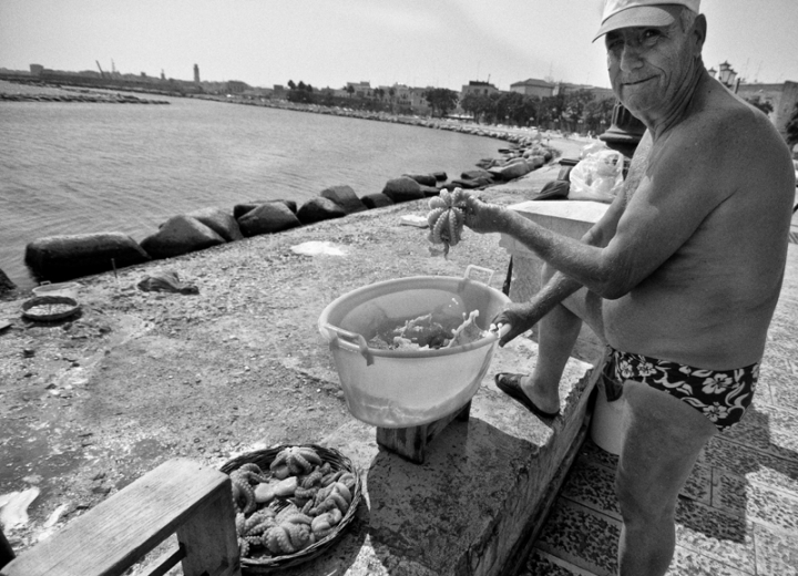 Pesca al Lungomare di Gae Fisicaro