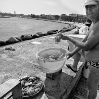 Pesca al Lungomare di 