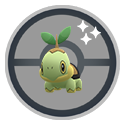 Turtwig