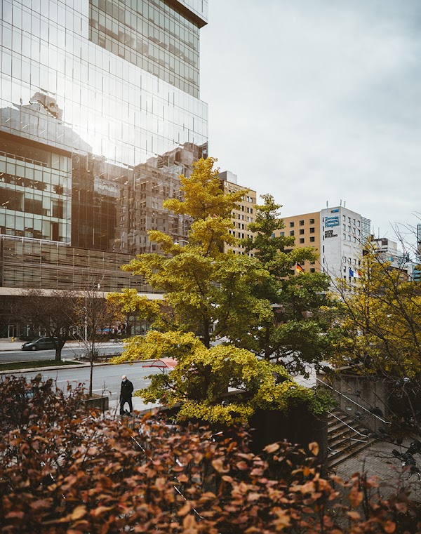 Vector Institute Toronto