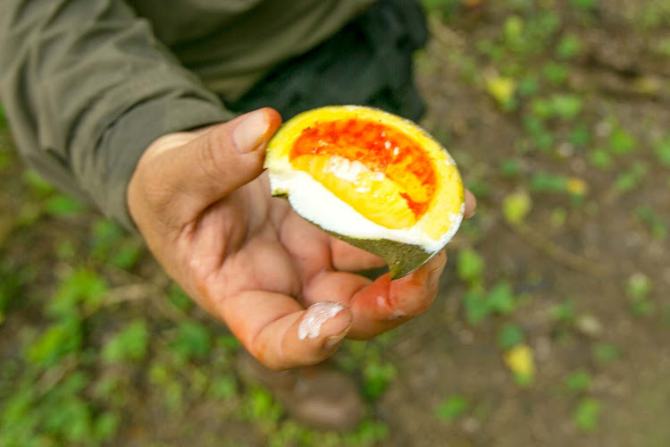 A sliced passion fruit, which has shown surprising health and medicinal benefits, at Dzibanche in the Yucatan. 