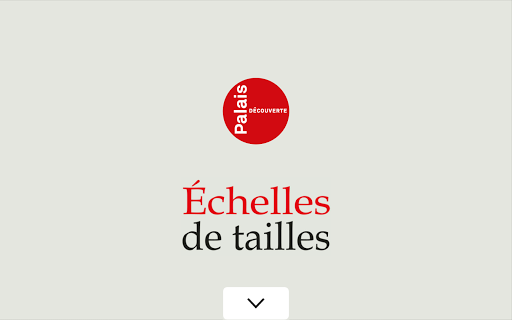 Échelles de tailles