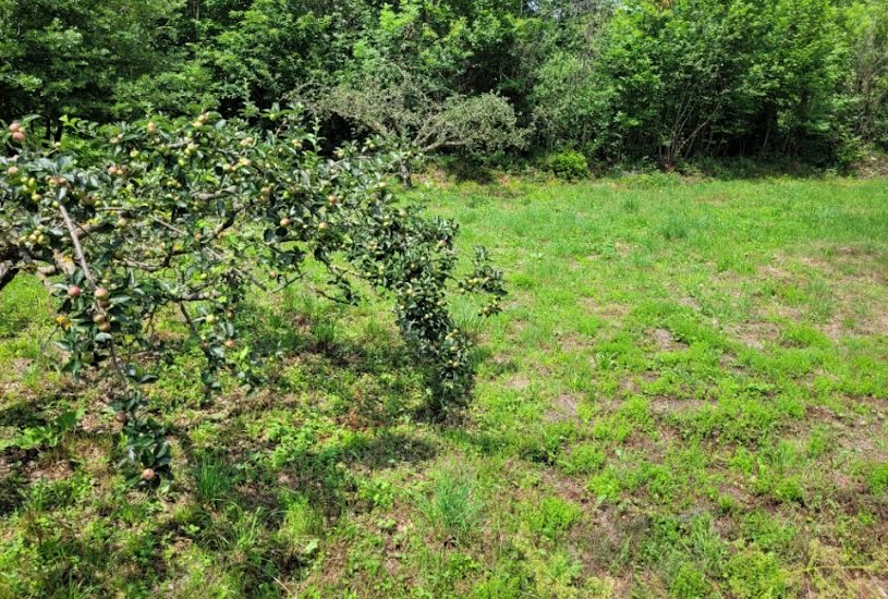  Vente Terrain à bâtir - 1 600m² à Corneilla-de-Conflent (66820) 