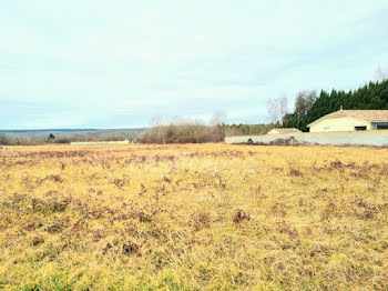 terrain à Bordères-sur-l'Echez (65)