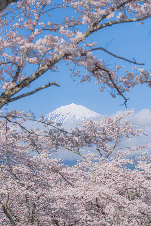 の投稿画像2枚目