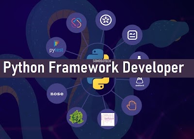 Python Framework Developer