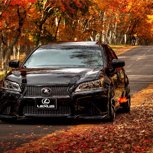 GS GRL10