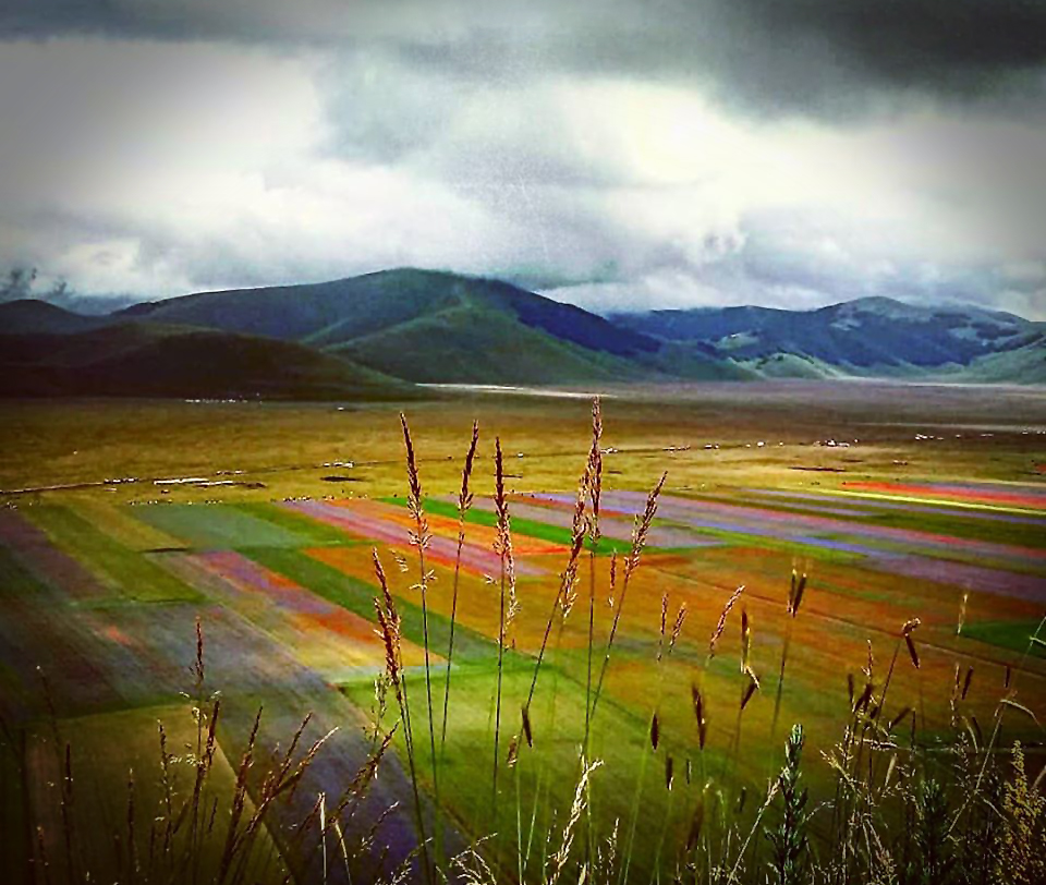 Castelluccio di Norcia di Morrilwen